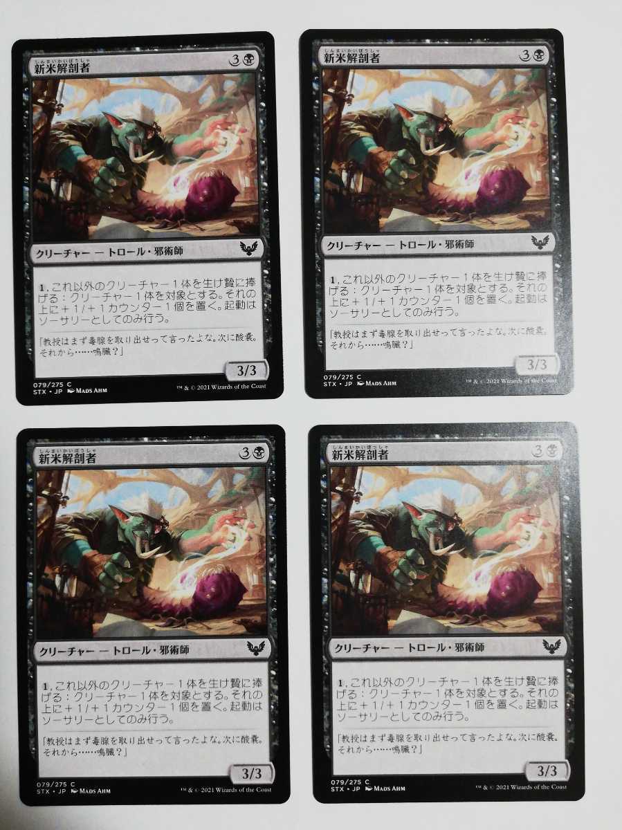 MTG マジックザギャザリング 新米解剖者 日本語版 4枚セット_画像1