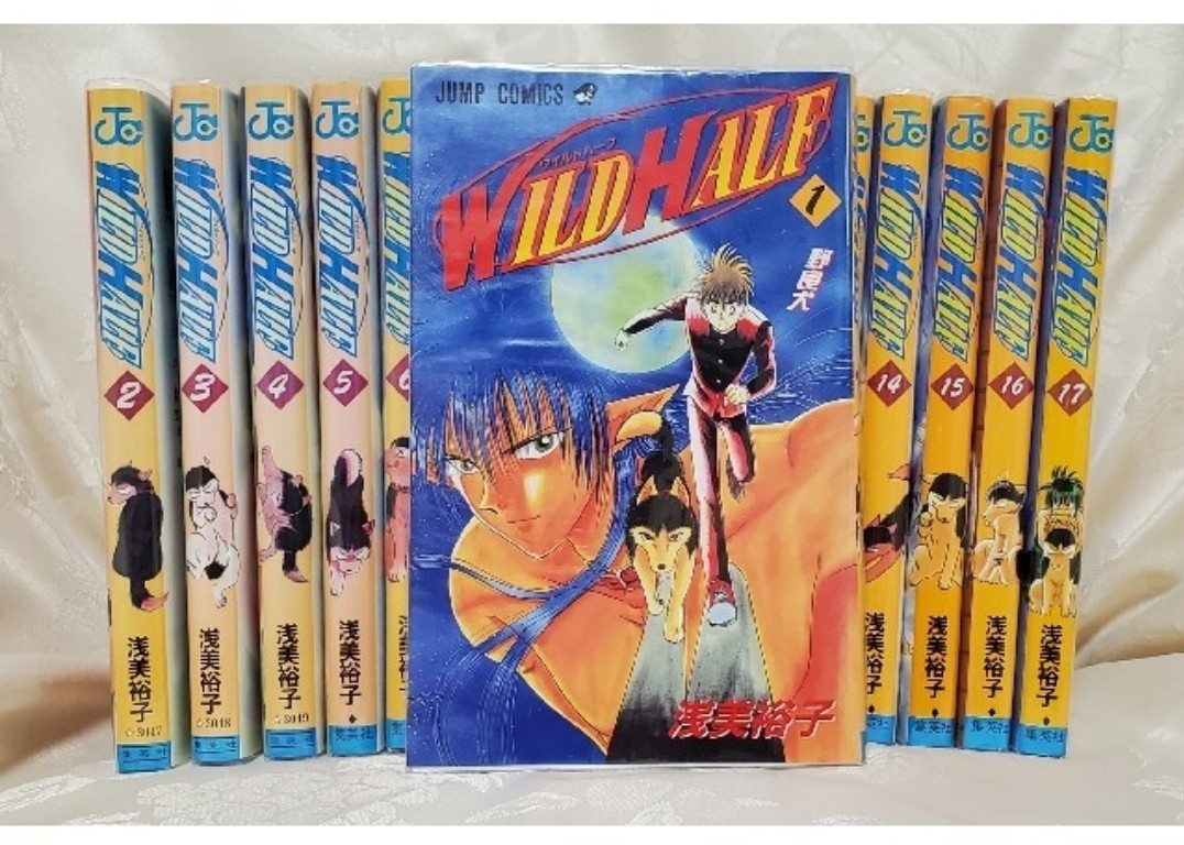 WILD HALF 1~17 全巻セット 初版 浅美裕子 ジャンプコミックス