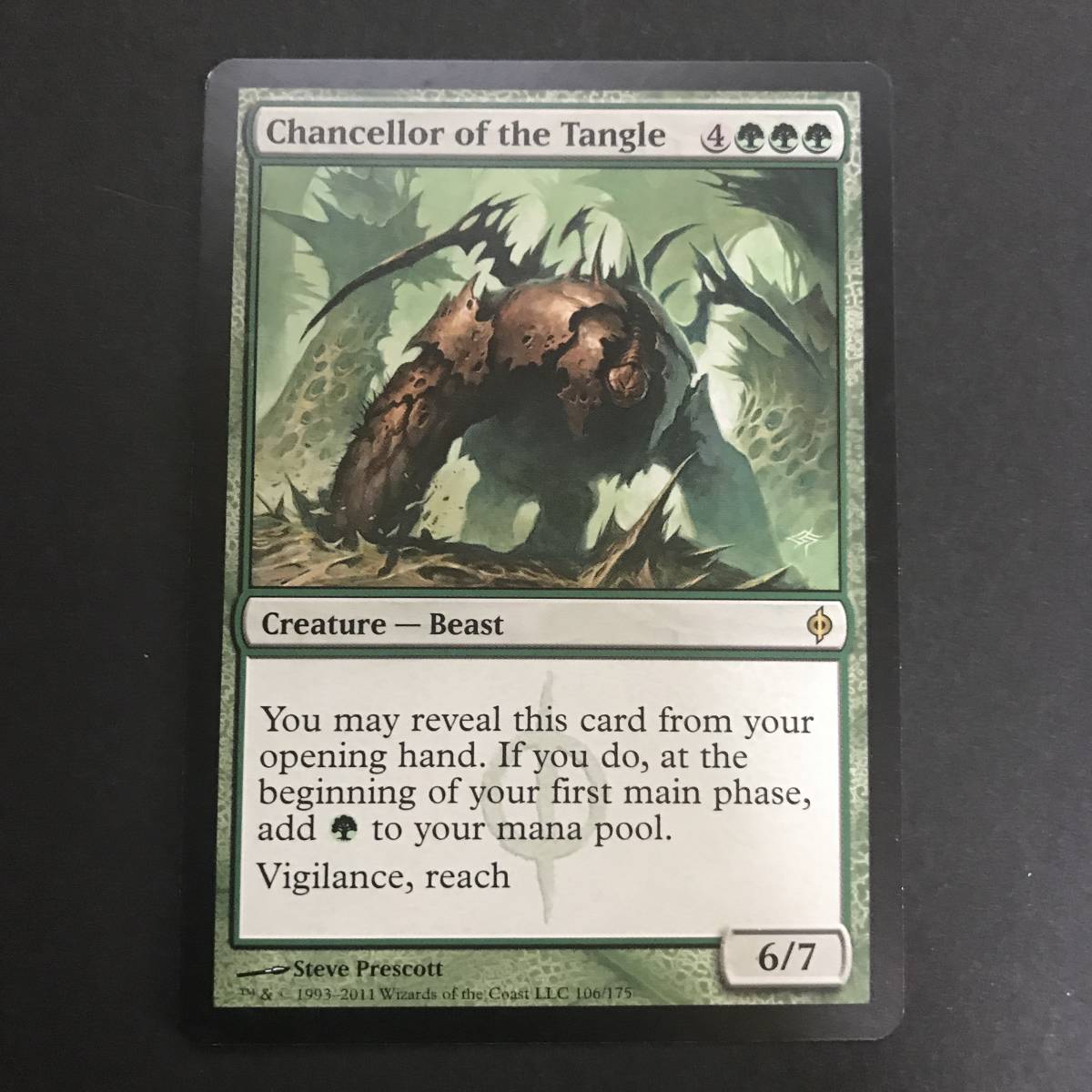 MTG/絡み森の大長/Chancellor of the Tangle/英語/1枚_画像1