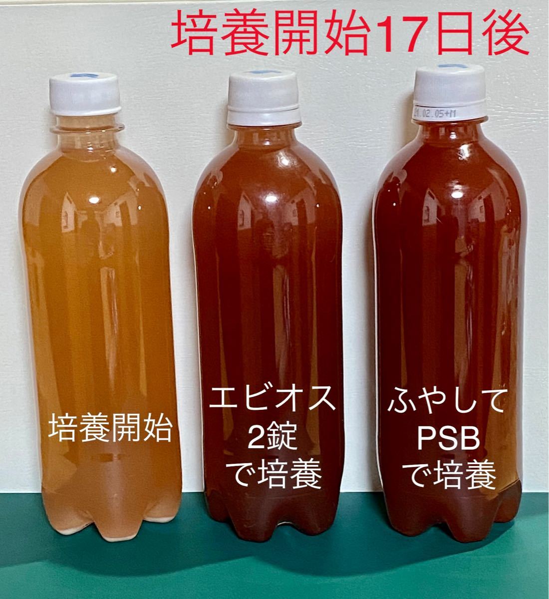 光合成細菌 PSB 500mlペットボトル3本分 培養セット 50ml×3本 培養酵母10錠 3mlスポイト付 翌日発送|PayPayフリマ