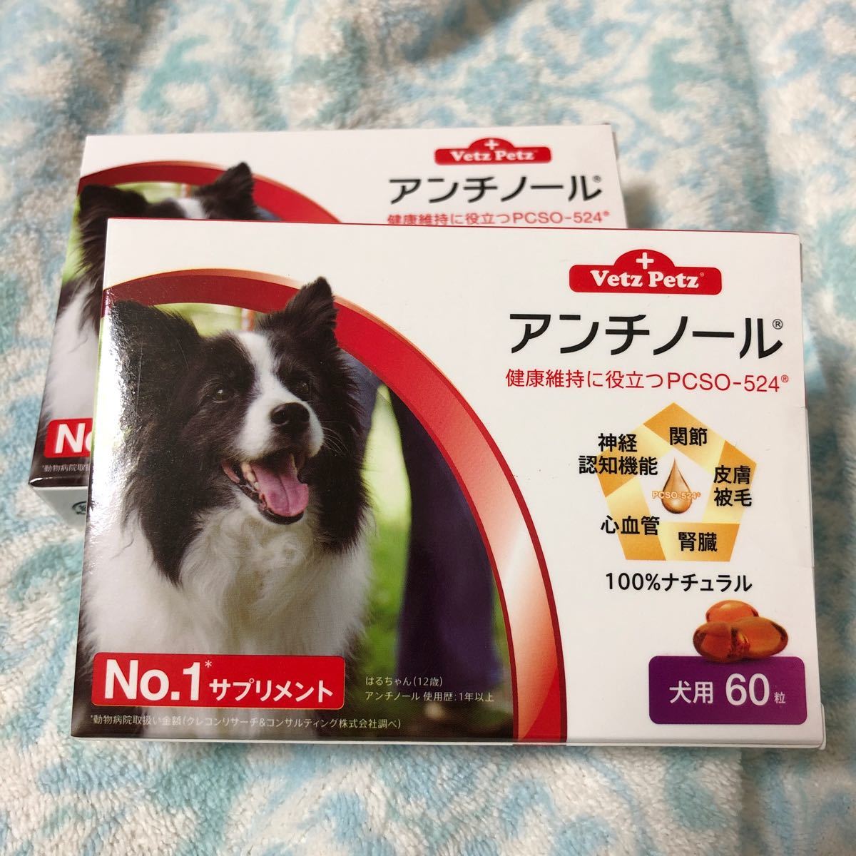 プライスダウン30 Off アンチノール 犬用 60カプセル 二箱新品 即発送可能 Www Coord Cajas Org Ar プライスダウン30 Off アンチノール 犬用 60カプセル 二箱新品 即発送可能 Www Coord Cajas Org Ar