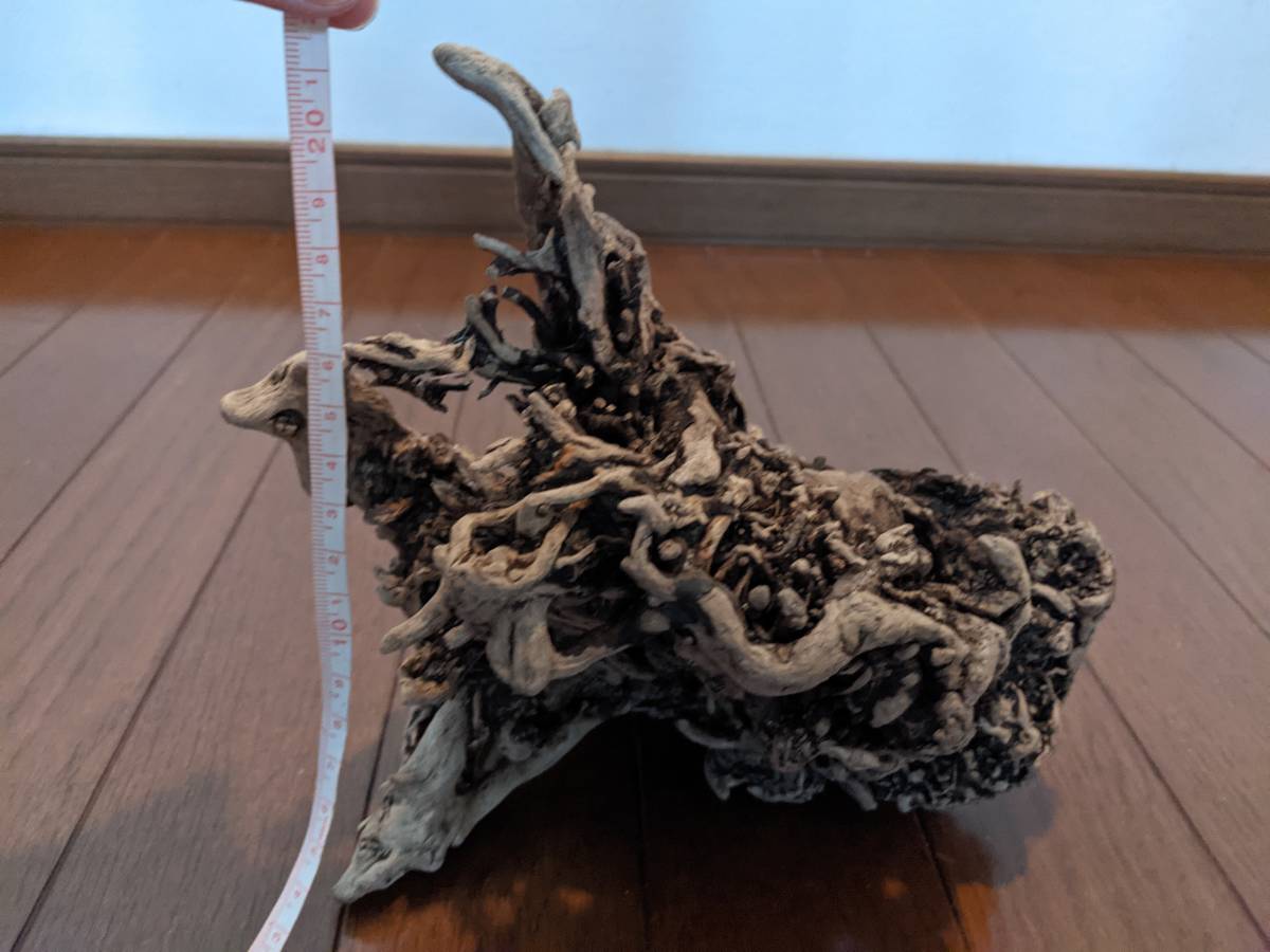 天然流木 水槽 1点物 アクアリウム オブジェ アート 15 5 cm 大和川河口 爬虫類 インテリア 魚 隠れ家 Yahoo Japan Auction Bidding Amp Shopping Support Deputy Service Japamart 天然流木 水槽 1点物 アクアリウム オブジェ アート 15 5 cm 大和川河口 爬虫類 インテリア 魚 隠れ家 Yahoo Japan Auction Bidding Amp Shopping Support Deputy Service Japamart