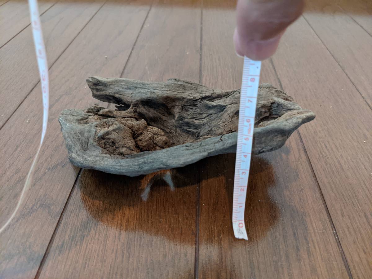 Paypayフリマ 天然流木 水槽 1点物 アクアリウム オブジェ アート 16 10 5cm 大和川河口 爬虫類 インテリア Paypayフリマ 天然流木 水槽 1点物 アクアリウム オブジェ アート 16 10 5cm 大和川河口 爬虫類 インテリア