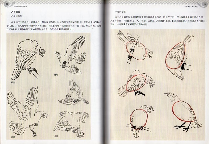 9787539464428 禽鳥画法　勉強すればすぐに描ける　水墨画技法書　中国語書籍_画像2