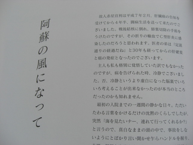 赤星宣利 画文集 阿蘇百景粗稿より 図録 2005年 熊本県立美術館 七回忌 追悼展_画像4