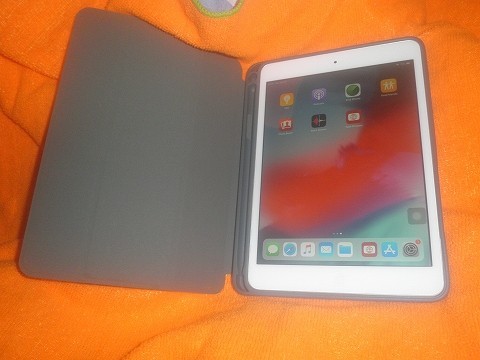 Apple iPad mini2 Wi-Fi MODEL 16GB SILVER ME279J/A CASE SET-