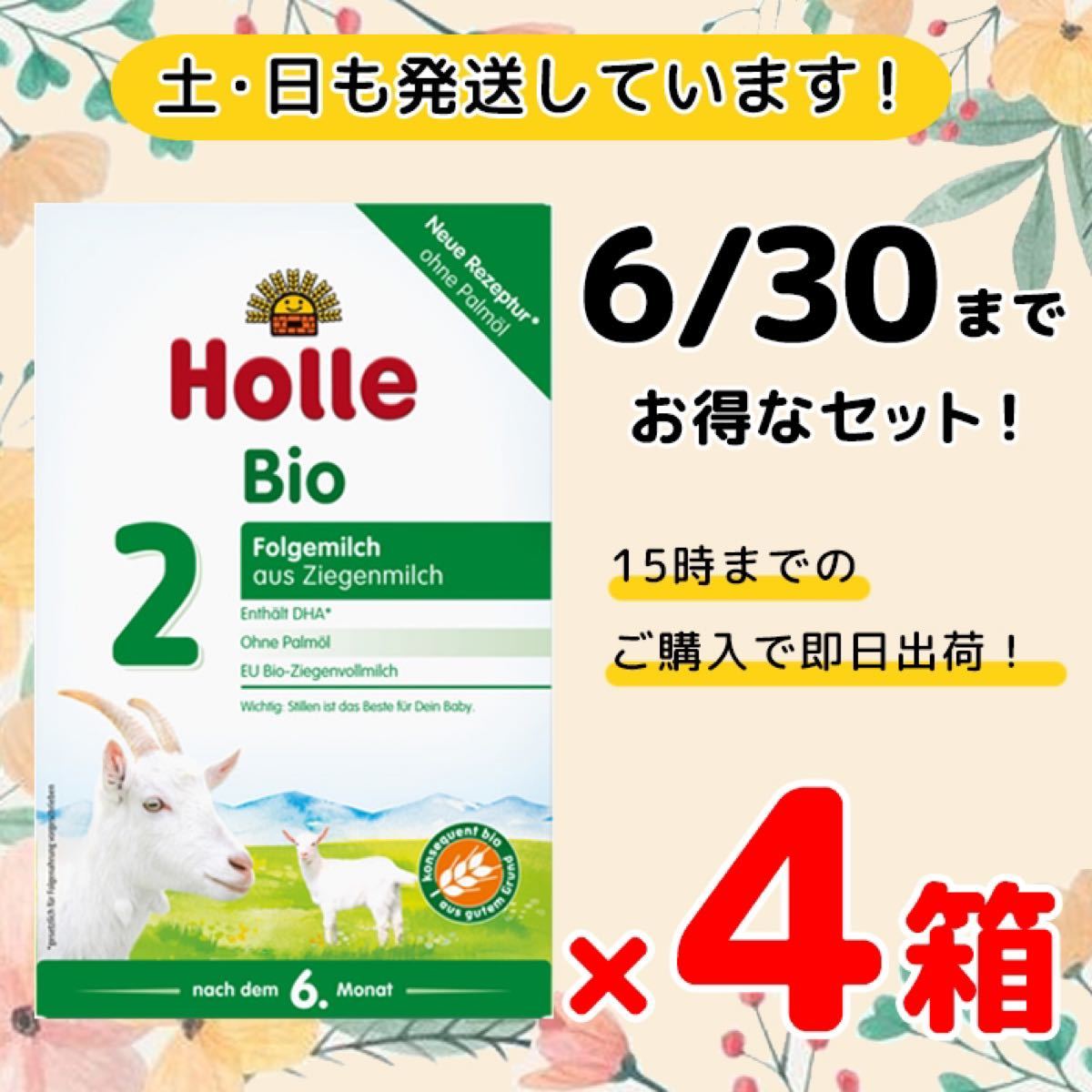 Holle ホレ やぎヤギ粉ミルク ステップ2 (生後6ヶ月頃～) ×3箱セット