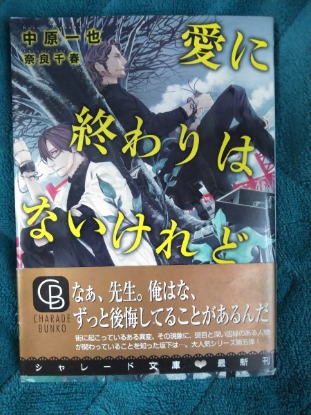 ☆中原一也　愛に終わりはないけれど　文庫_画像1