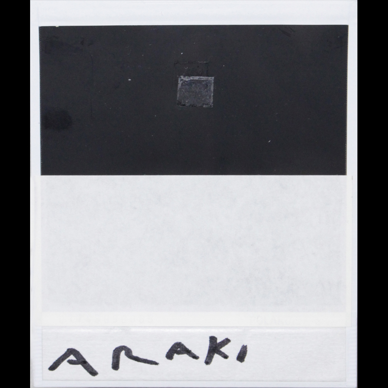 写真家 荒木経惟『 花 』Flower 直筆サイン入 ポラロイド 現代美術家 Nobuyoshi Araki アラーキー