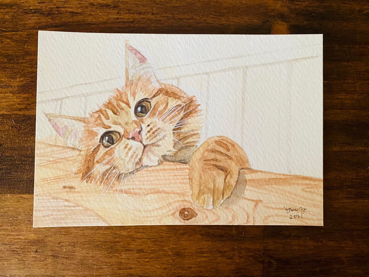 手描きイラスト 茶トラ猫 ポストカードサイズ