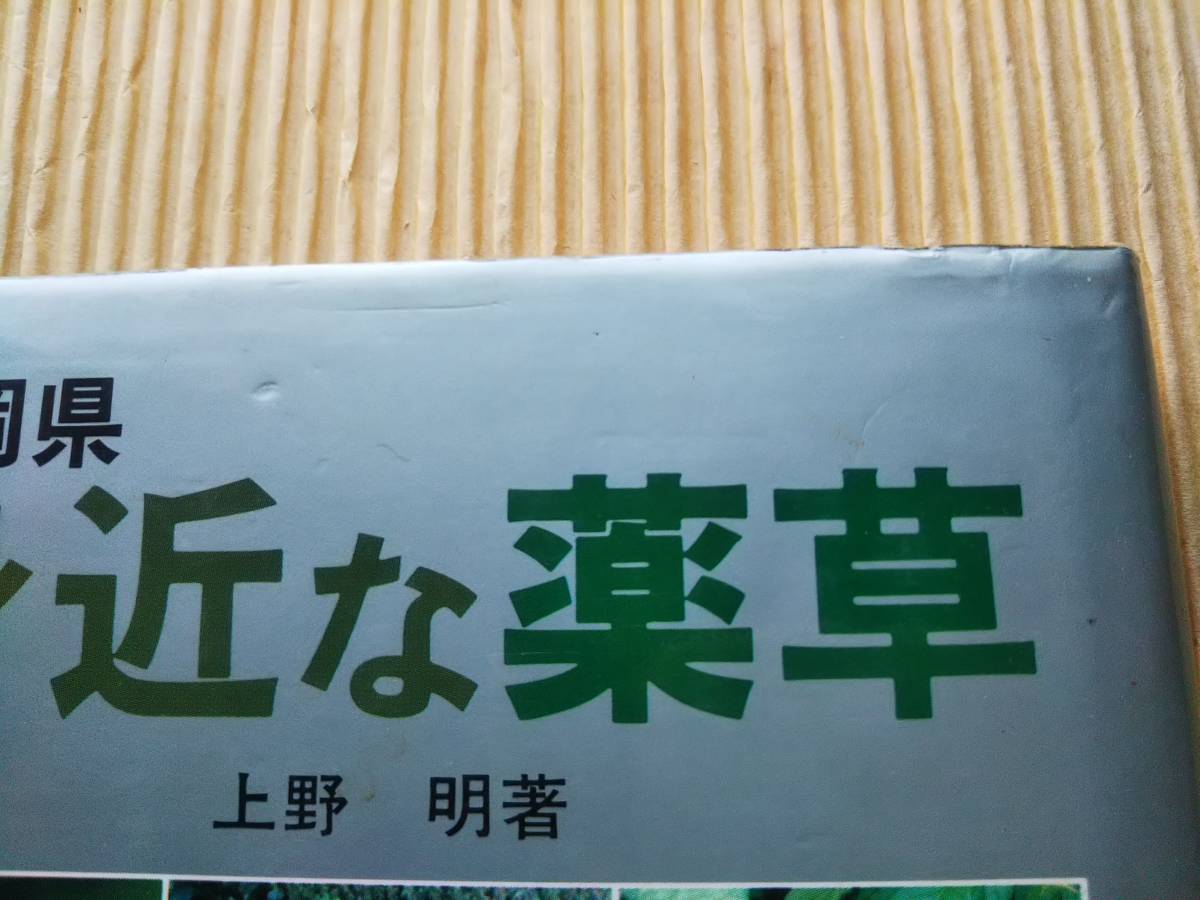 静岡県 身近な薬草　上野明　薬用植物_画像3