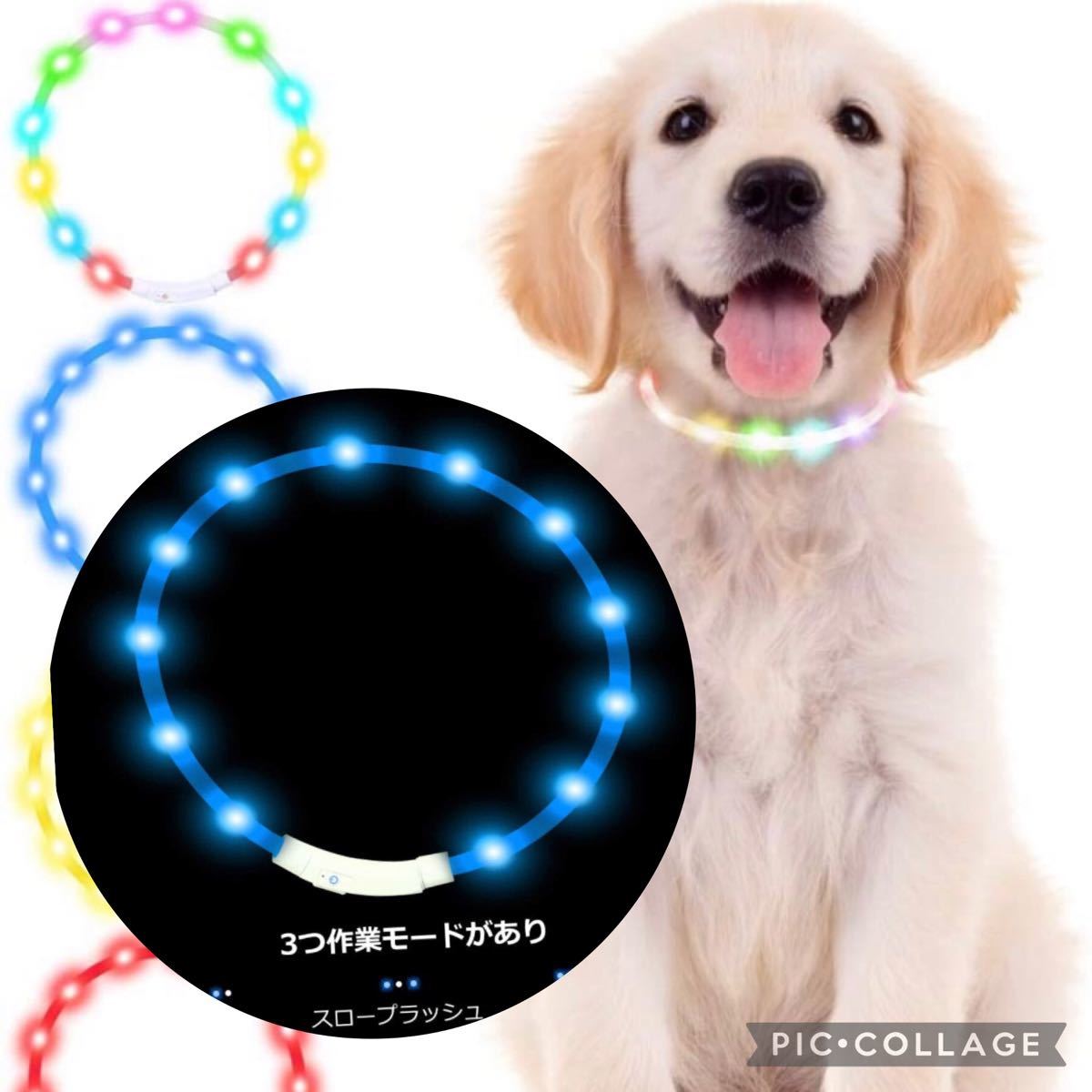 【ブルー】犬用　ペット用　LED 光る　首輪　防水　長さ調整可能　USB充電