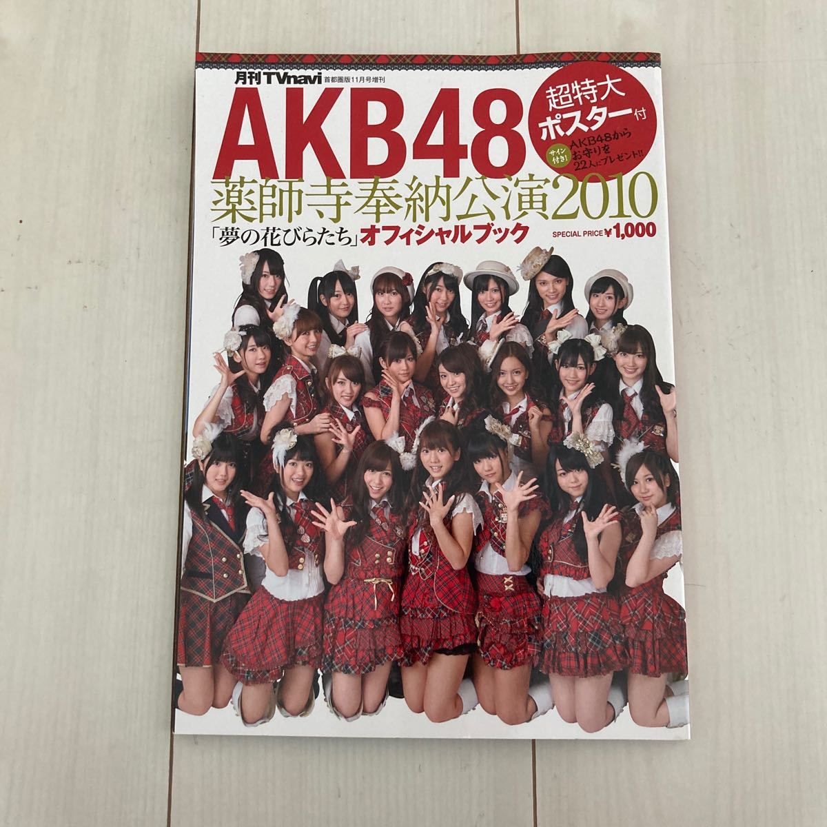 AKB48薬師寺奉納公演2010オフィシャルブック