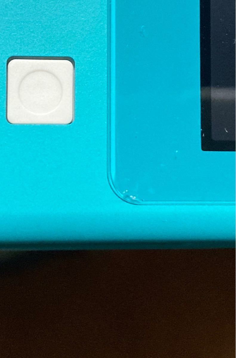 Nintendo Switch Lite 本体 ターコイズ ハードカバーケース 保護フィルム ニンテンドー スイッチ ライト