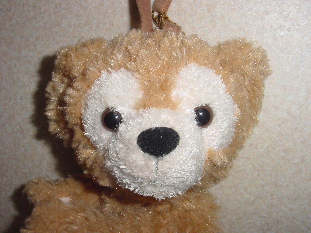 初期 ダッフィー ぬいぐるみ ポーチ バッグ ミニ絵本付 ディズニーシー グッズ Duffy 返品不可 Product Details Yahoo Auctions Japan Proxy Bidding And Shopping Service From Japan 初期 ダッフィー ぬいぐるみ ポーチ バッグ ミニ絵本付 ディズニーシー グッズ Duffy 返品不可 Product Details Yahoo Auctions Japan Proxy Bidding And Shopping Service From Japan
