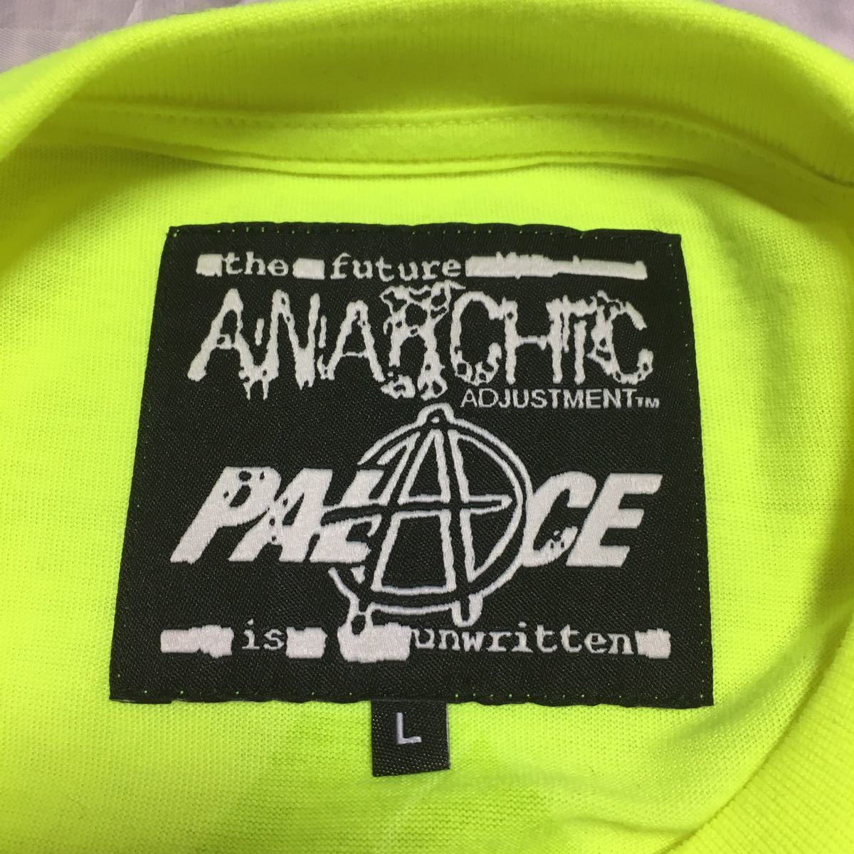 PALACE anarchic adjustment コラボ Tee Tシャツ L パレス アナー