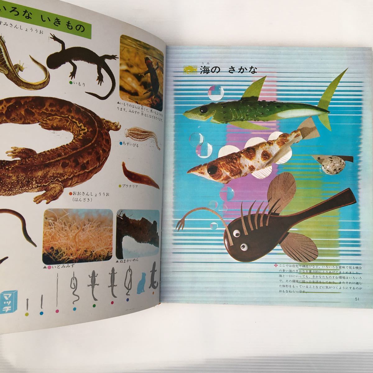 zaa-198♪学習ずかん百科第8巻水ベの生きもの 鈴木泰 zaa-198♪学習ずかん百科第8巻水ベの生きもの 鈴木泰