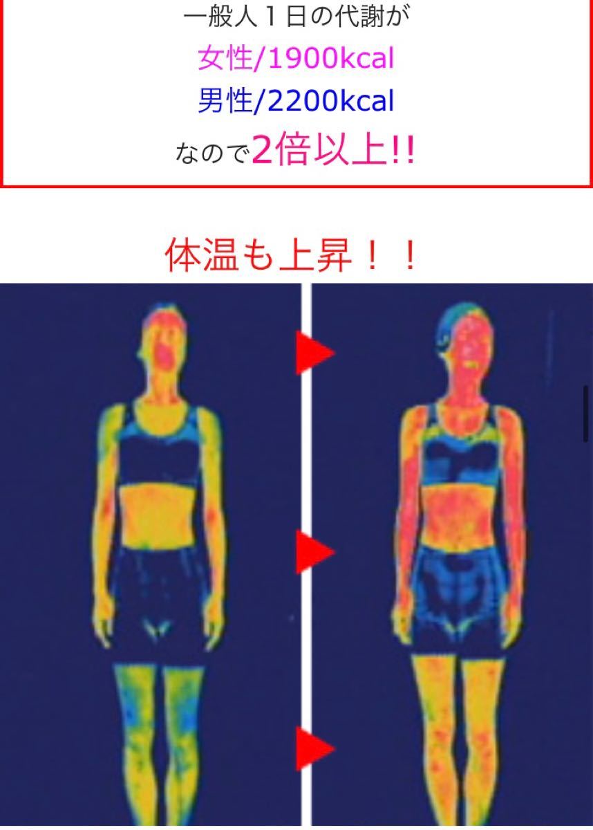 今だけ値下げ中❗️燃焼系 ダイエットサプリ スリマーロジック  約4ヶ月 120粒