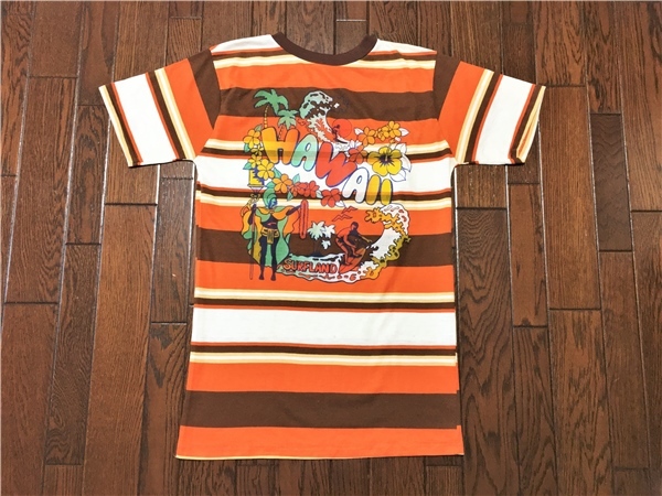 超爆安 ボーダー HAWAII ハワイ ヴィンテージ Tシャツ ビーチ