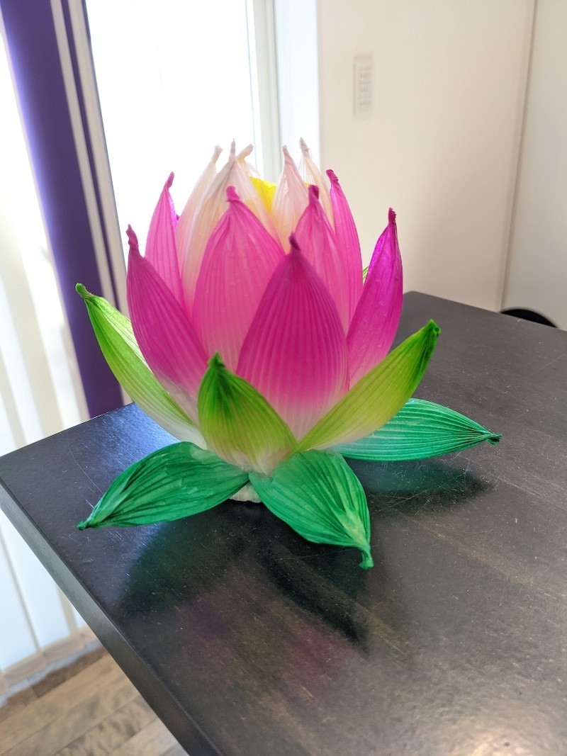蓮の花 花紙「8色 24束セット」|Yahoo!フリマ(旧PayPayフリマ) 蓮の花 花紙「8色 24束セット」|Yahoo!フリマ(旧PayPayフリマ)