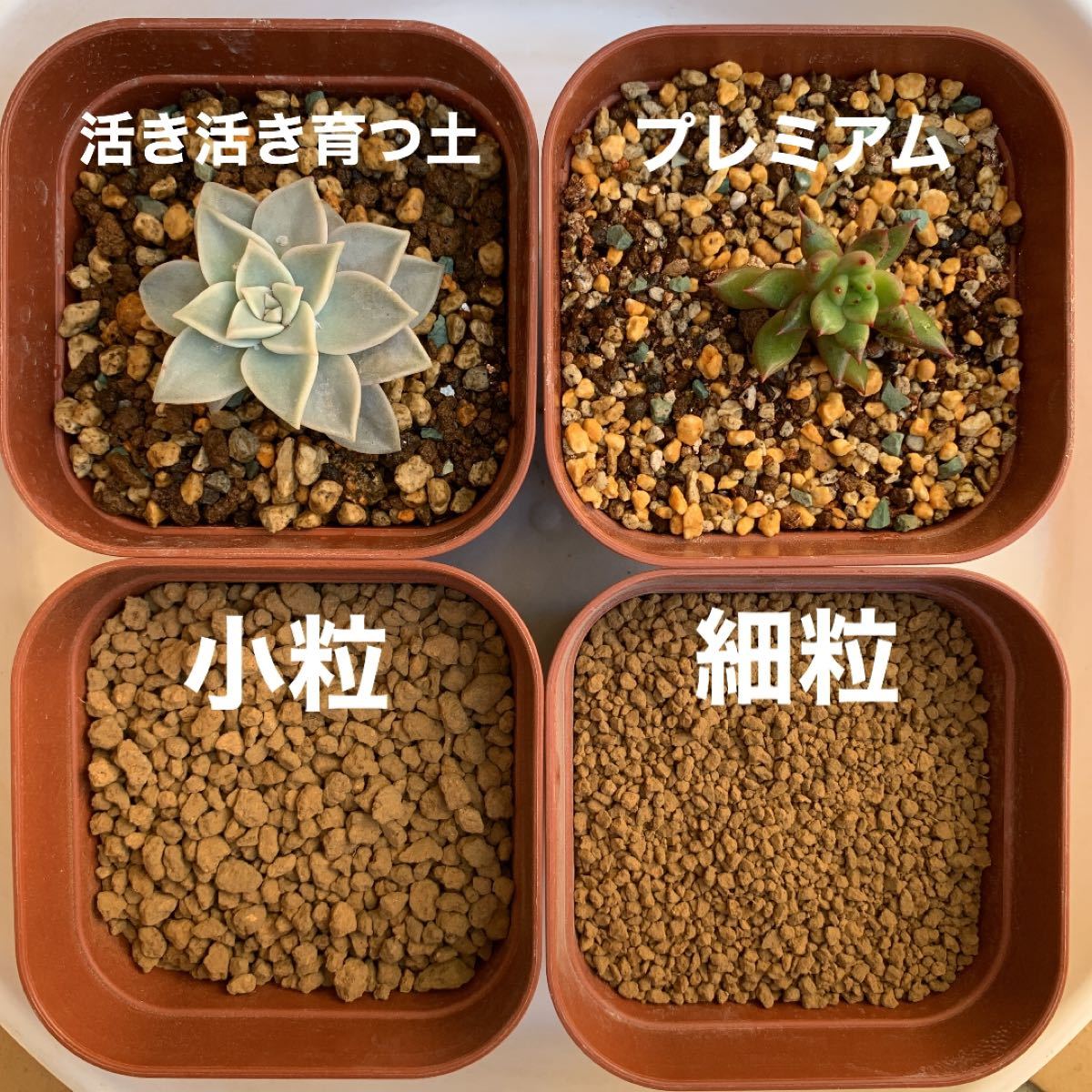 Paypayフリマ 多肉植物の土 サボテンの土 多肉植物用土 硬質赤玉土 小粒