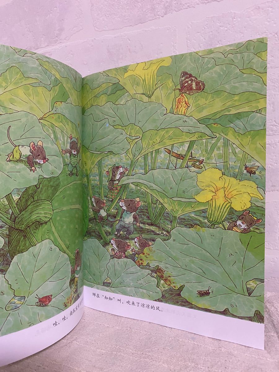 中国語絵本　１４ひきのねずみシリーズ6冊セット