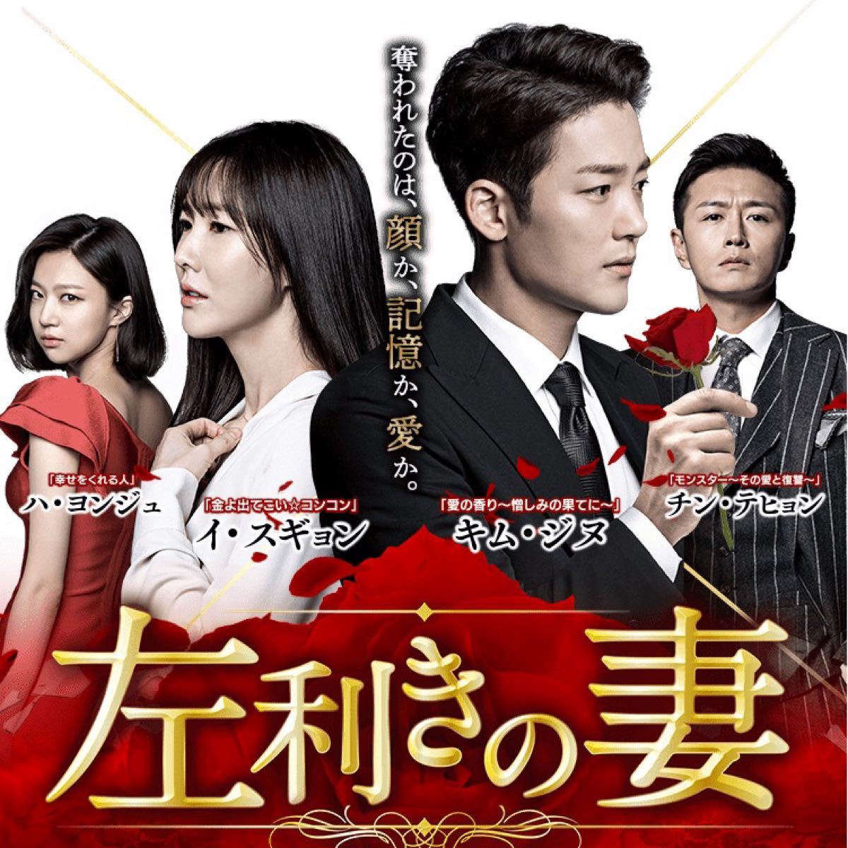 感謝報恩 妻~愛の果てに~DVD-BOX1~3〈26枚〉 | www.tegdarco.com