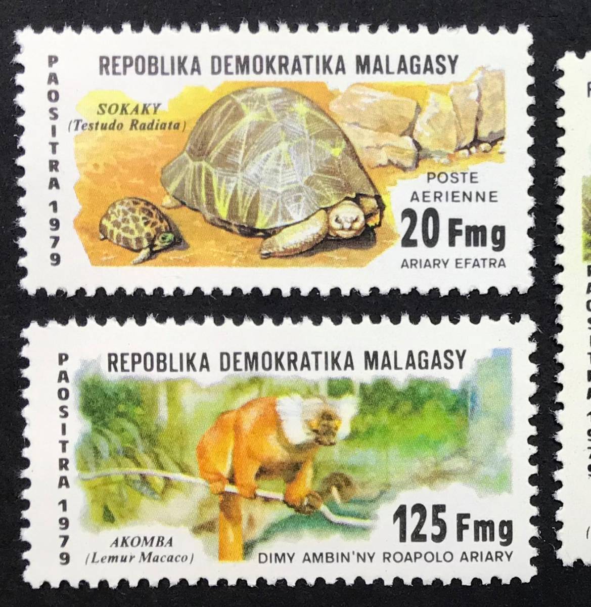 madaga Skull 1979 year issue turtle animal stamp unused NH