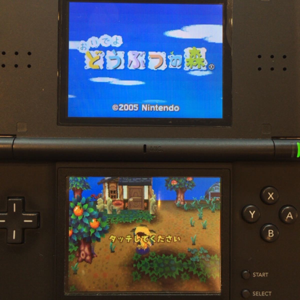 おいでよどうぶつの森DS、牧場物語コロポックルステーションDS