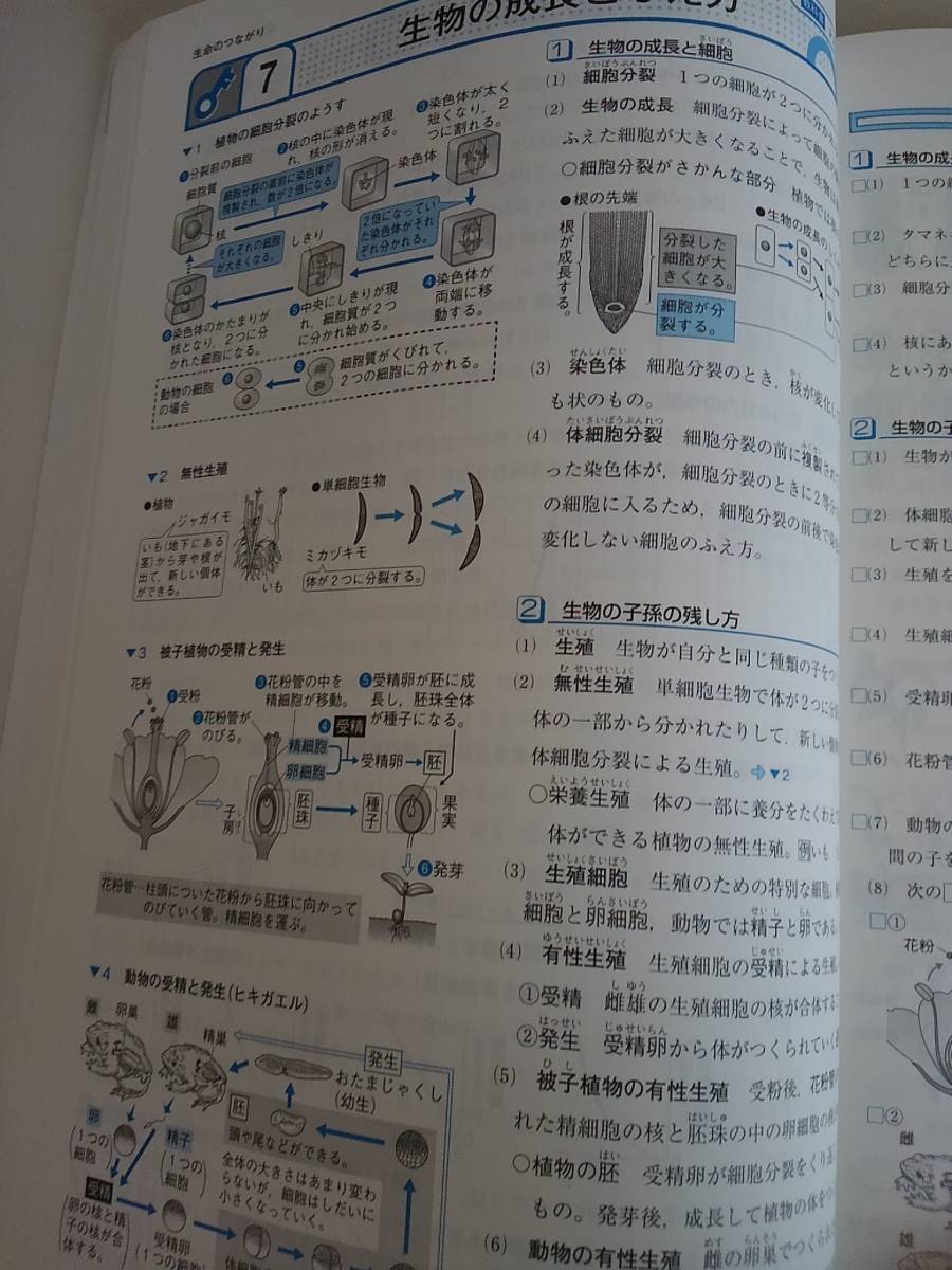 Keyワーク　理科　3年　大日本図書準拠　高校受験　定期試験　塾専用　【即決】_画像7