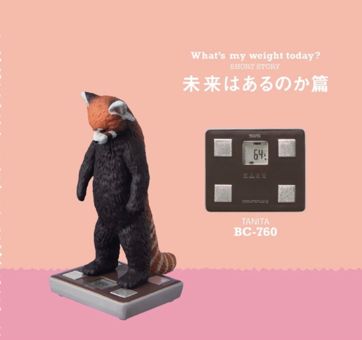 Paypayフリマ ガチャガチャ 今日は何キロ タニタ パンダの穴 全6種 Paypayフリマ ガチャガチャ 今日は何キロ タニタ パンダの穴 全6種