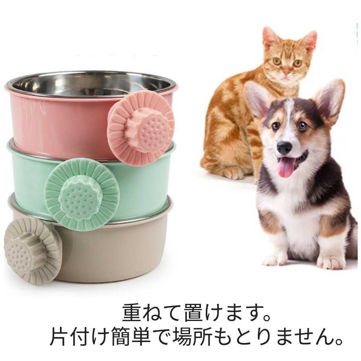猫と犬の餌にはどんな違いがある 食べさせても大丈夫 ねこちゃんホンポ