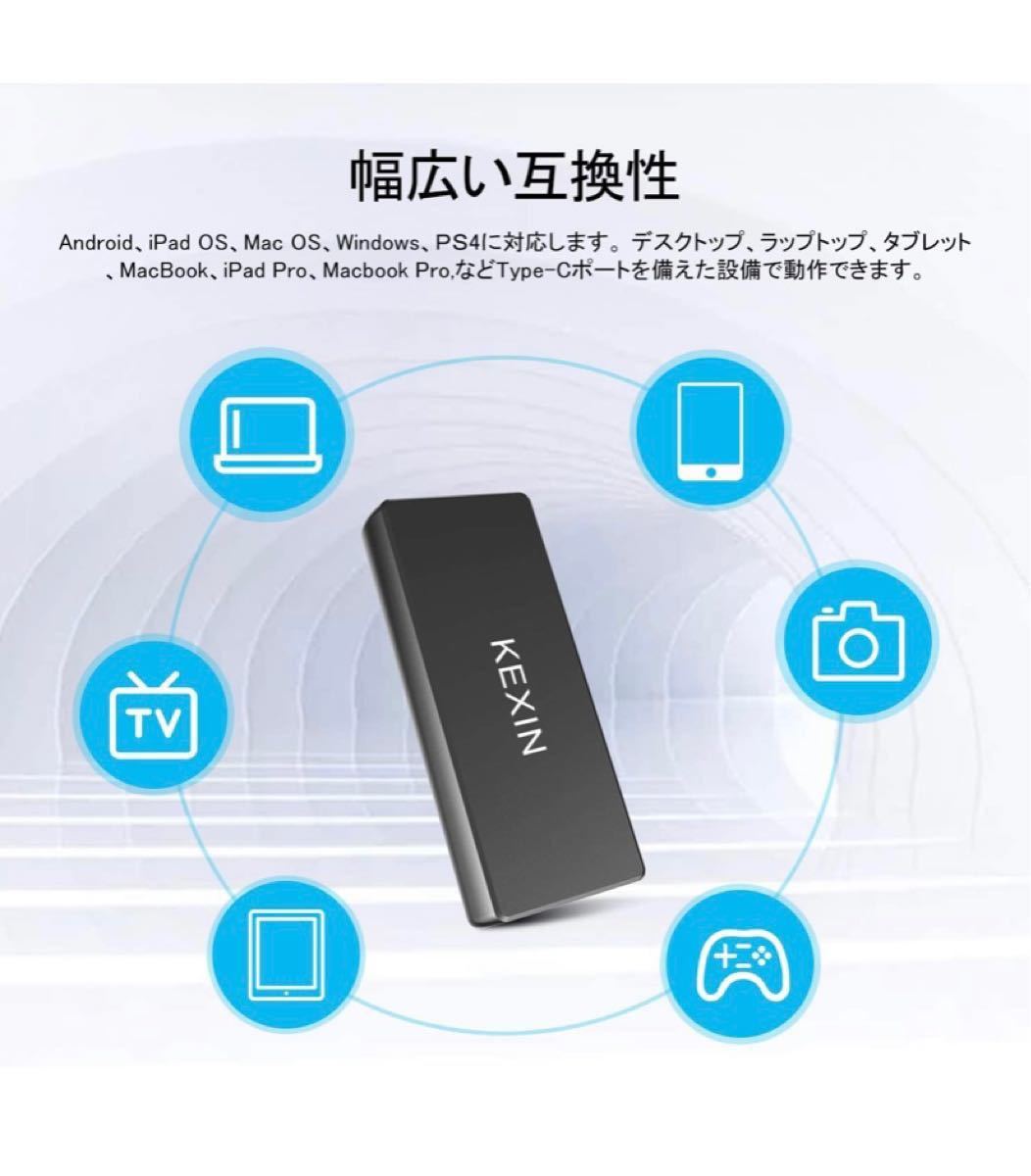 ポータブルSSD 120GB USB3.1 Gen2 外付SSD ミニSSD