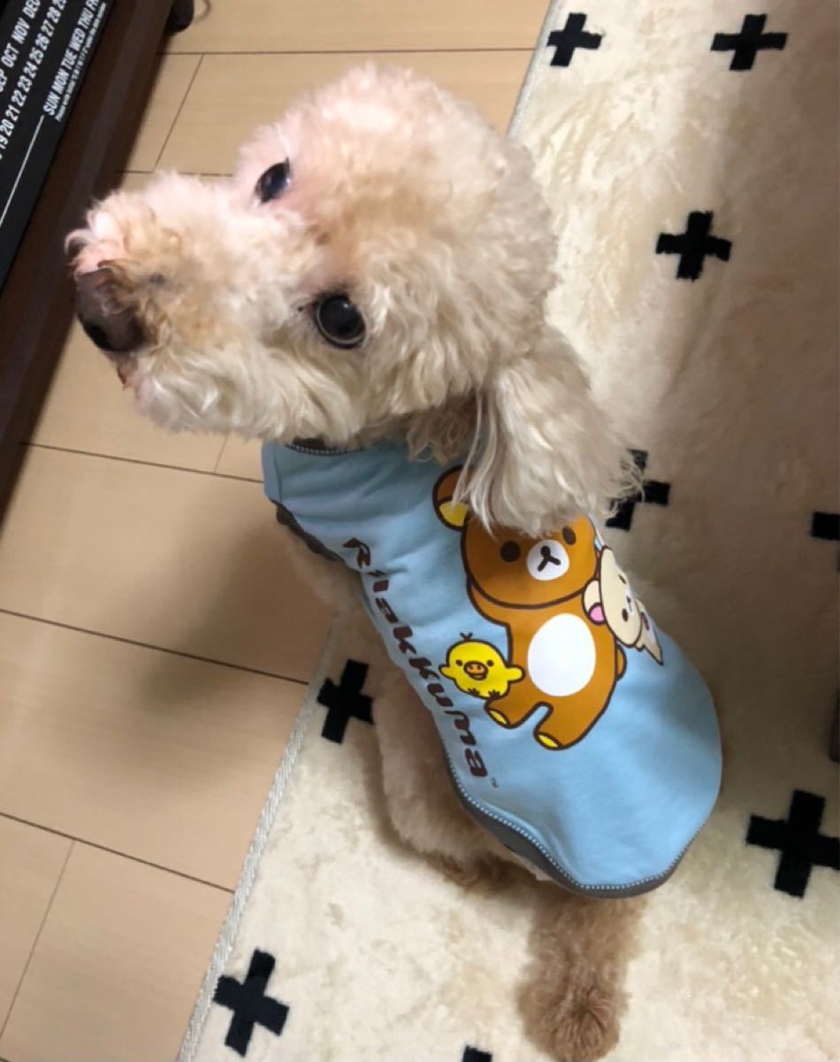 Paypayフリマ 犬服 リラックマ柄 mサイズ Paypayフリマ 犬服 リラックマ柄 mサイズ