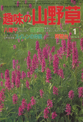 # hobby. fields and mountains grass 1987.1 month number No.78( special collection : Hachiman flat | snow break up .| water lily. company )