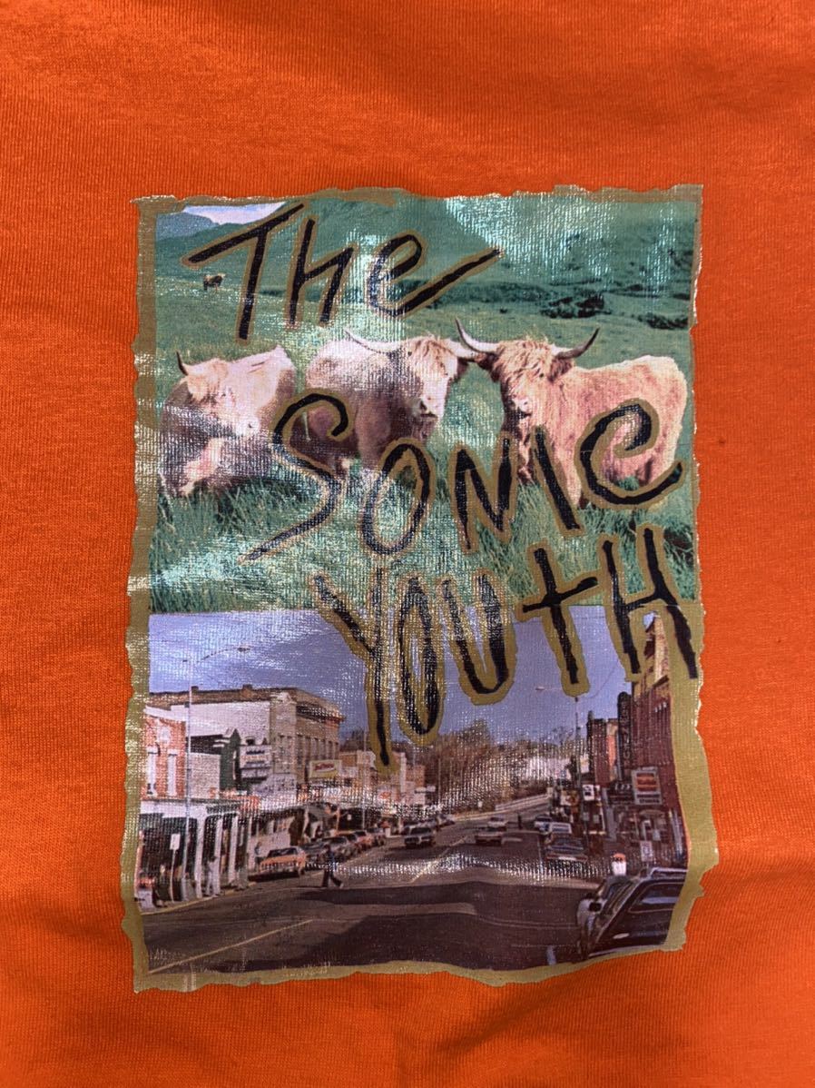 80s SONIC YOUTH sisterTシャツ USA ヴィンテージ シングルステッチ カートコバーン 着用 ソニックユース NIRVANA dinosaur JR vintage