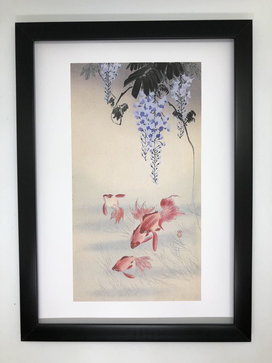 ヤフオク 小原古邨 藤に金魚 ポスター 輸送用 額付き ヤフオク 小原古邨 藤に金魚 ポスター 輸送用 額付き