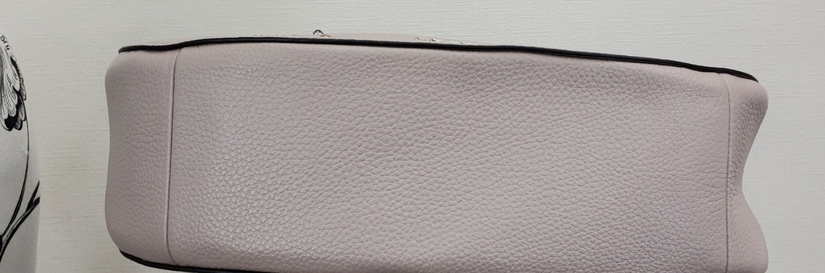 限定デザイン COACH コーチ 2way ショルダーバッグ ceratinxd.com