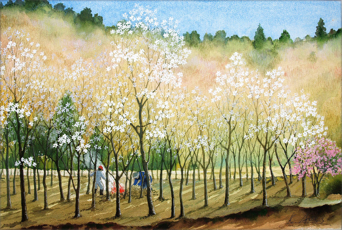 【絵画】「早春～　コブシの花咲くころ」　水彩画　真作