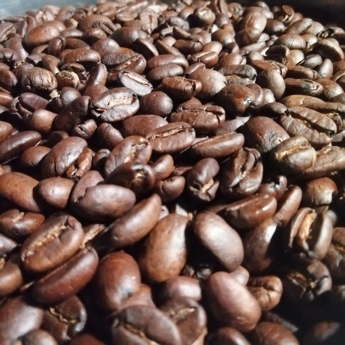自家焙煎屋　コーヒー豆　エチオピアゲイシャG3   300g