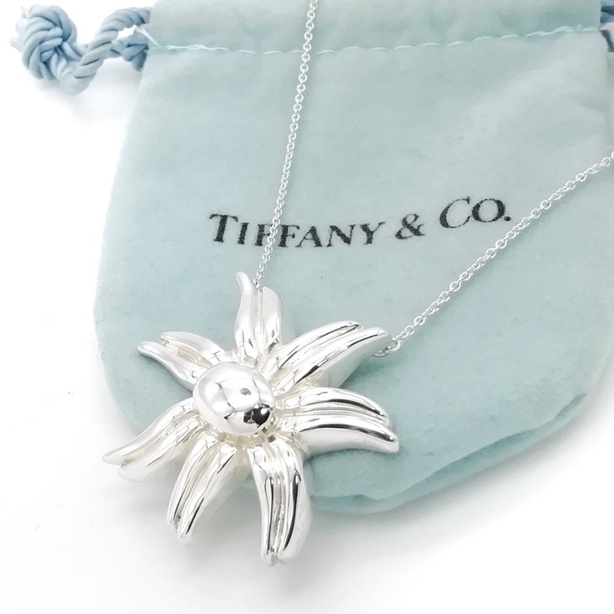 極希少 美品 Tiffany&Co. ヴィンテージ ティファニー ファイヤーワークス シルバー ネックレス SV925 フラワー 1986年製 YY45