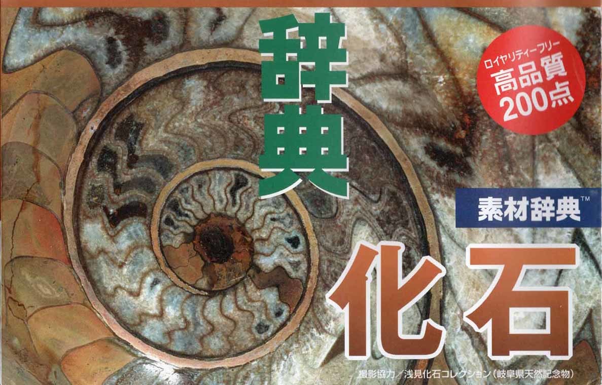 Paypayフリマ データクラフト 素材辞典シリーズ Vol 11 化石編 著作権フリー写真集 Win Mac使用可能 高解像度 迅速発送 未開封新品 Paypayフリマ データクラフト 素材辞典シリーズ Vol 11 化石編 著作権フリー写真集 Win Mac使用可能 高解像度 迅速発送 未開封新品