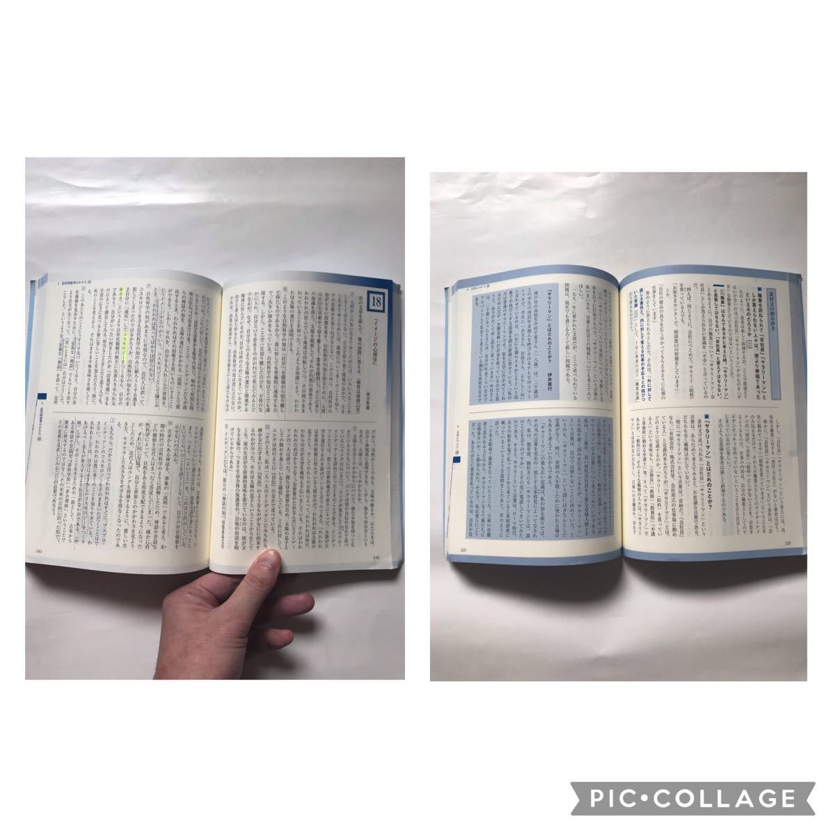 旺文社 現代文 標準 問題 精講 大学 入試 受験 高校 高等学校 旺文社 現代文 標準 問題 精講 大学 入試 受験 高校 高等学校