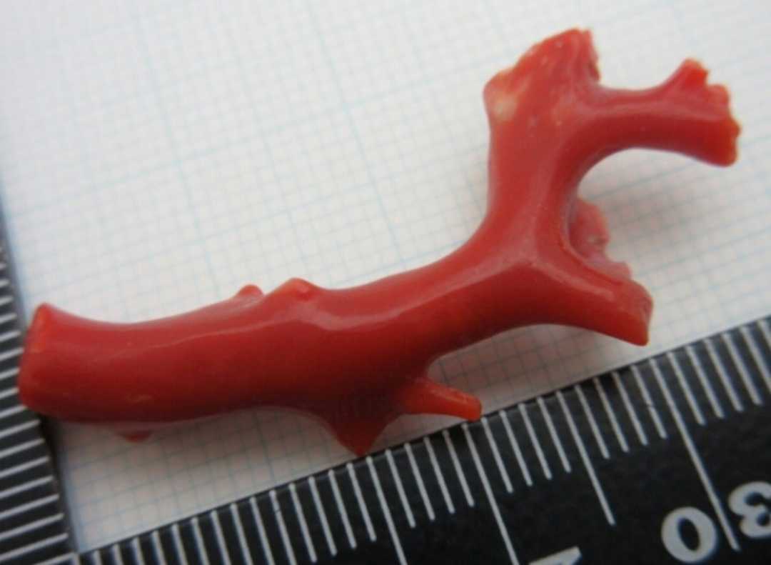 [TOP]. red .. coral 2.58g branch loose netsuke g820.