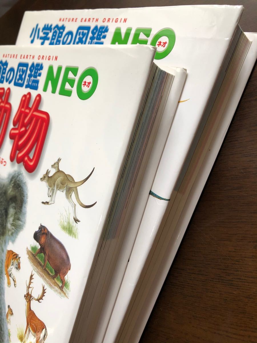 小学館の図鑑　NEO  動物　恐竜　２冊セット