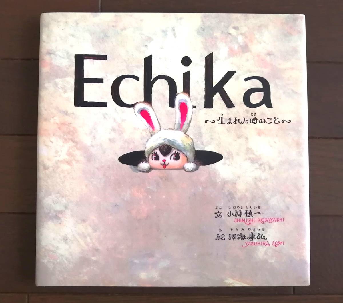 即決【東京メトロ/非売品】絵本『Echika 生まれた時のこと』エチカちゃん小林慎一 澤海康弘 ECHIKA ノベルティ キャラクターグッズ大塚勝俊_画像1