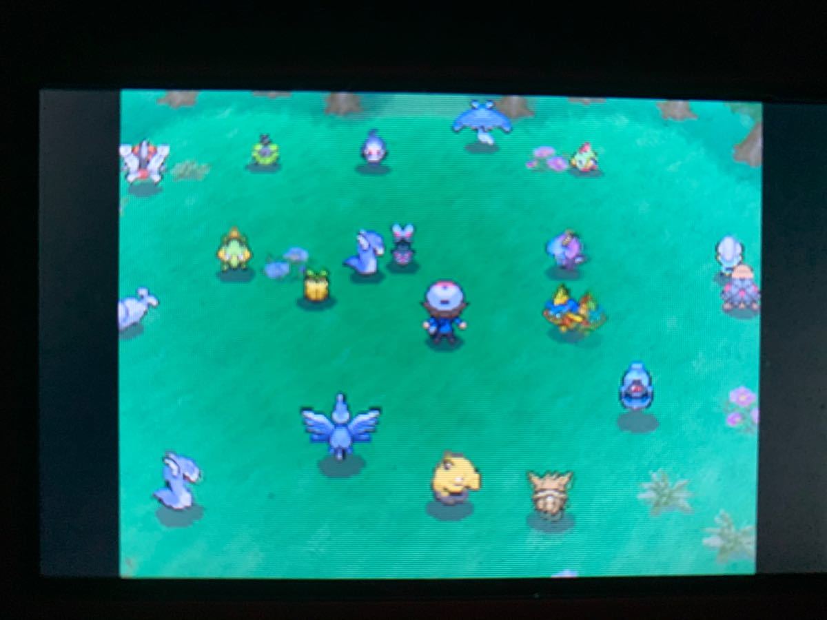 Paypayフリマ ポケットモンスター ブラック Pgl人気投票アルセウス等ハイリンク Paypayフリマ ポケットモンスター ブラック Pgl人気投票アルセウス等ハイリンク