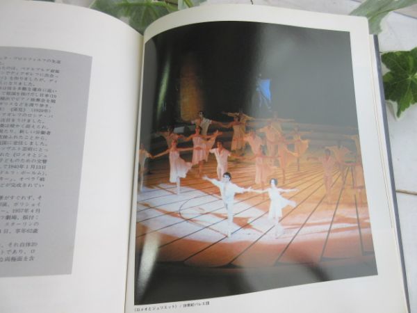  rare [ ballet. ..~ masterpiece 18 to ....] stone rice field kind raw IVY HOUSE BALLET BOOKS2....* is light ballet * books 2 Showa era 54 year no. 1 version (0)