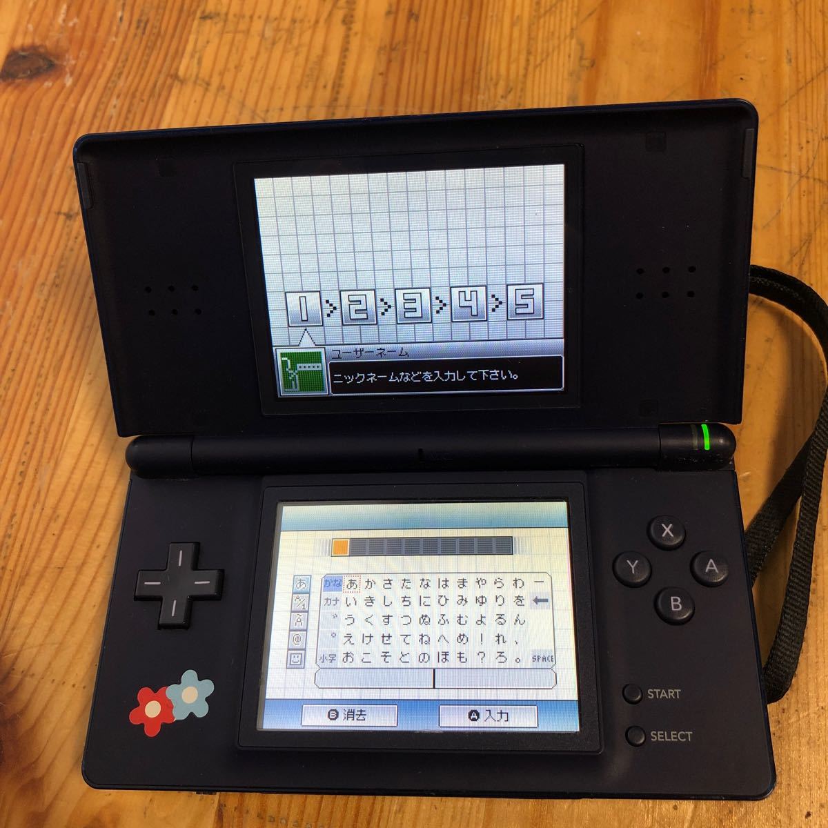 DS Lite ニンテンドーDS 任天堂 Nintendo