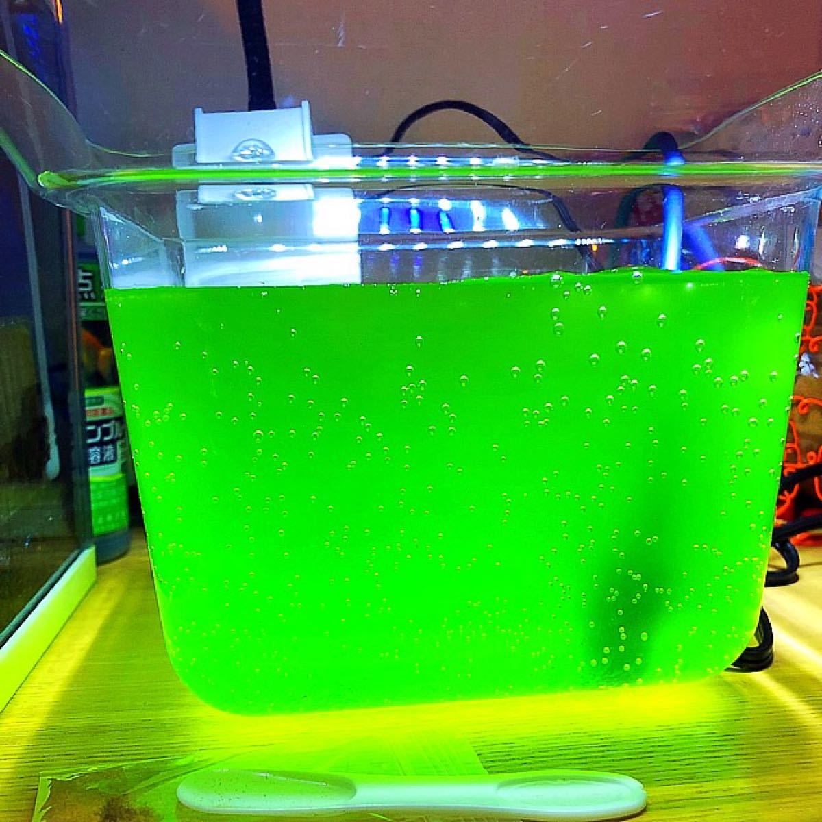 Paypayフリマ グリーンウォーター 種水 4000ml メダカ 金魚 針子 稚魚 鯉 栄養 青水 産卵 産卵促進 色上げ 卵 餌 フード Paypayフリマ グリーンウォーター 種水 4000ml メダカ 金魚 針子 稚魚 鯉 栄養 青水 産卵 産卵促進 色上げ 卵 餌 フード